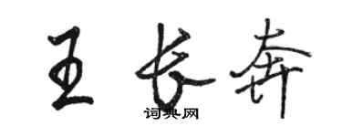 駱恆光王長奔行書個性簽名怎么寫
