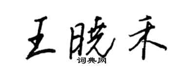 王正良王曉禾行書個性簽名怎么寫