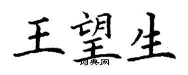 丁謙王望生楷書個性簽名怎么寫