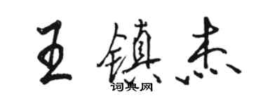 駱恆光王鎮傑行書個性簽名怎么寫