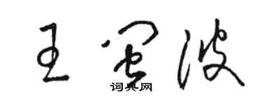 駱恆光王閩波草書個性簽名怎么寫