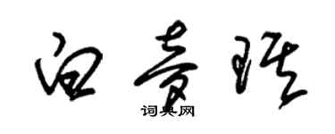 朱錫榮白夢琪草書個性簽名怎么寫