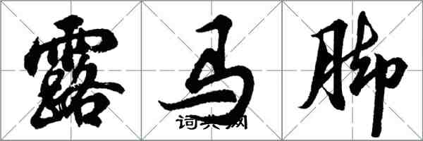 胡問遂露馬腳行書怎么寫