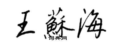 王正良王蘇海行書個性簽名怎么寫