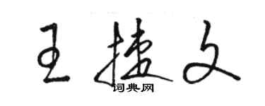 駱恆光王捷文草書個性簽名怎么寫