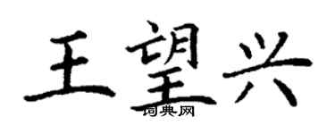 丁謙王望興楷書個性簽名怎么寫