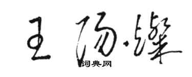 駱恆光王陽燦草書個性簽名怎么寫