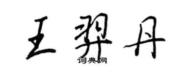 王正良王羿丹行書個性簽名怎么寫