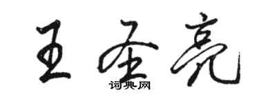 駱恆光王聖亮行書個性簽名怎么寫