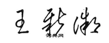 駱恆光王新微草書個性簽名怎么寫