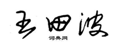 朱錫榮王田波草書個性簽名怎么寫