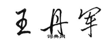 駱恆光王丹軍行書個性簽名怎么寫