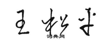 駱恆光王松平草書個性簽名怎么寫