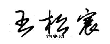 朱錫榮王松宸草書個性簽名怎么寫