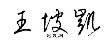 梁錦英王坡凱草書個性簽名怎么寫