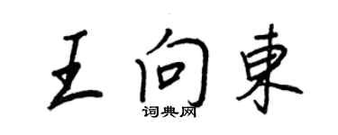 王正良王向東行書個性簽名怎么寫