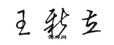 駱恆光王新立草書個性簽名怎么寫