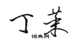 駱恆光丁茉行書個性簽名怎么寫