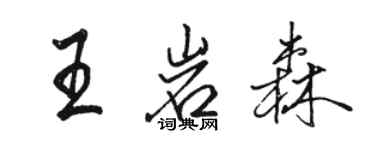 駱恆光王岩森行書個性簽名怎么寫