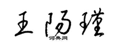 梁錦英王陽瑾草書個性簽名怎么寫