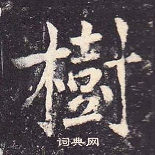 鄭雲逵在李廣業碑中寫的樹