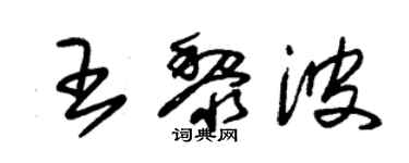 朱錫榮王黎波草書個性簽名怎么寫