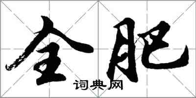 胡問遂全肥行書怎么寫