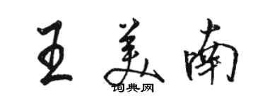 駱恆光王美南行書個性簽名怎么寫