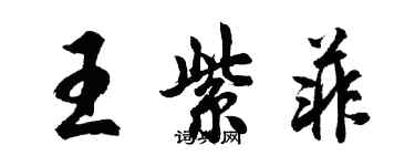 胡問遂王紫菲行書個性簽名怎么寫