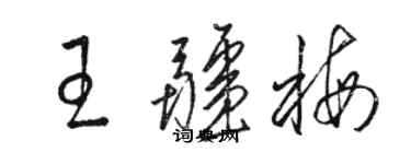 駱恆光王疆梅草書個性簽名怎么寫