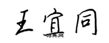 王正良王宜同行書個性簽名怎么寫