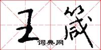 王箴怎么寫好看