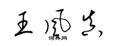 梁錦英王風真草書個性簽名怎么寫