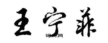 胡問遂王寧菲行書個性簽名怎么寫