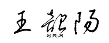 梁錦英王韶陽草書個性簽名怎么寫