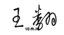 駱恆光王翻草書個性簽名怎么寫