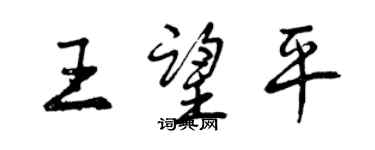 曾慶福王望平行書個性簽名怎么寫