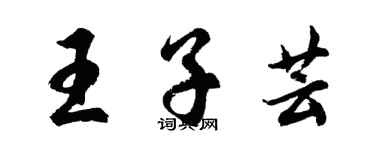 胡問遂王子芸行書個性簽名怎么寫