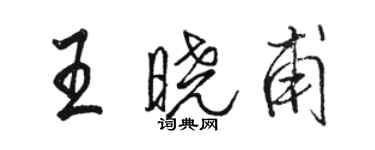 駱恆光王曉甫行書個性簽名怎么寫