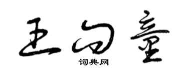 曾慶福王問童草書個性簽名怎么寫