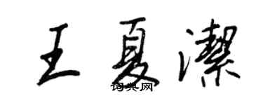 王正良王夏潔行書個性簽名怎么寫