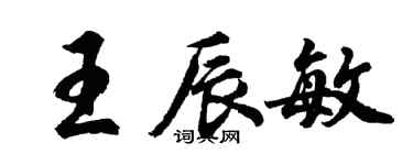 胡問遂王辰敏行書個性簽名怎么寫