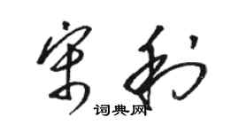 駱恆光宋利草書個性簽名怎么寫