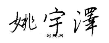 王正良姚宇澤行書個性簽名怎么寫
