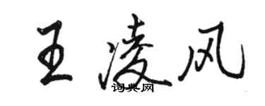 駱恆光王凌風行書個性簽名怎么寫