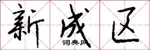 新成區怎么寫好看