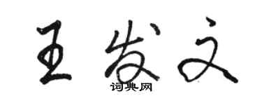 駱恆光王發文行書個性簽名怎么寫