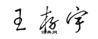 駱恆光王存宇草書個性簽名怎么寫