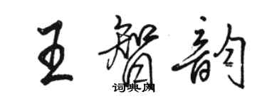 駱恆光王智韻行書個性簽名怎么寫