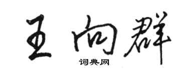 駱恆光王向群行書個性簽名怎么寫
